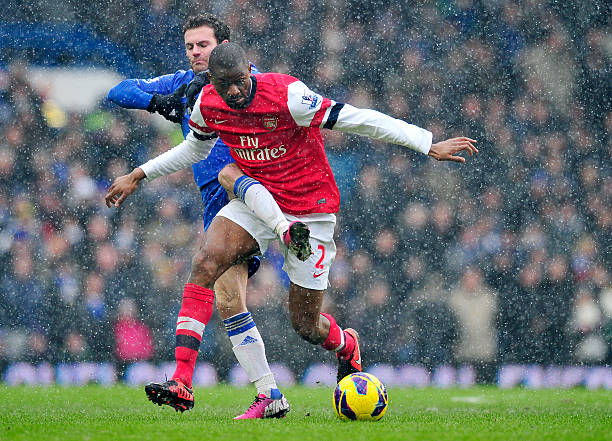 这只公野猪 这只公野猪